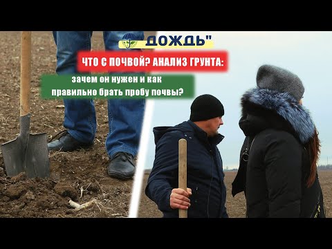 Что с почвой? Анализ грунта: зачем он нужен и как правильно брать почву?