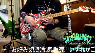 【解説＆憶測】Jake E. Lee☆Eddie Van Halen