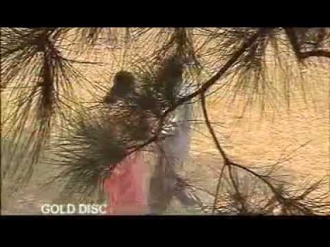 video phone beyonce mp3 Santhali Hit Songs | Tere Alam | Santhali Songs New 2014
