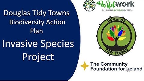 Douglas Invasive Species Project