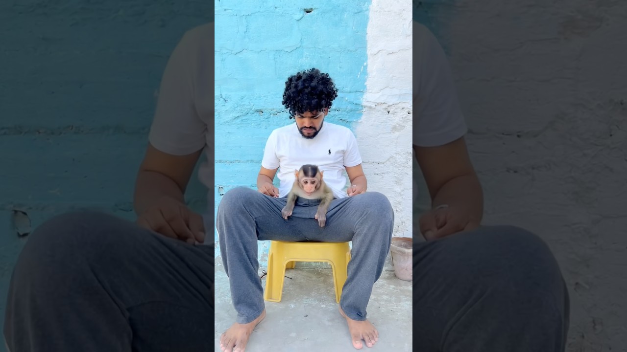 Monkey nai pants pardiya😱