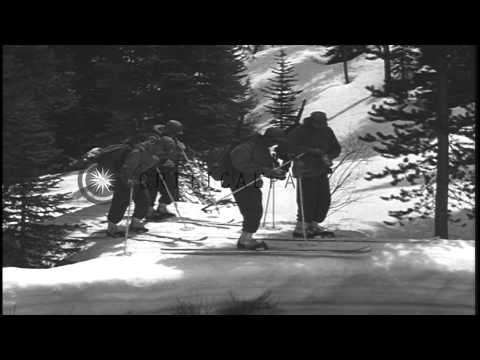 Skiers taking skating steps and arriving near a stream in the United States. HD Stock Footage