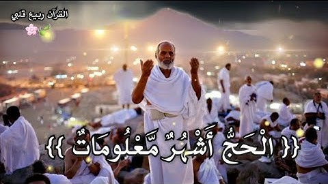{{ الْحَجُّ أَشْهُرٌ مَّعْلُومَاتٌ}} قرآن كريم ياسر الدوسري /حالات وتس اب عن الحج /العشر من ذي الحجة