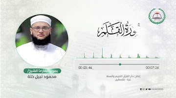 سورة القلم بصوت القارئ الشيخ: محمود نبيل خلة
