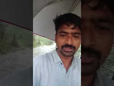 कफी तेज बरीस मुंबई में