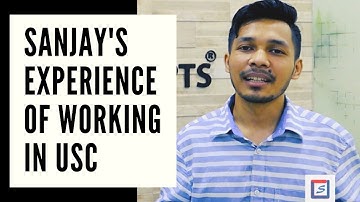 Job as a digital marketing executive: Experience sharing