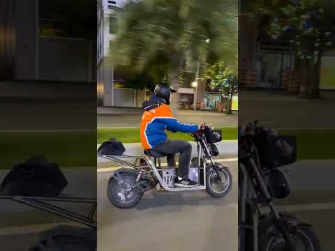 Xe máy điện chở hàng Smart M6 Inox 304