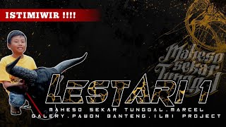 DJ BANTENGAN‼️[LESTARI]1 STYLE KALAPAN BY DJ ILMI PROJECT