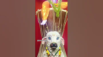 Ganesh Ji On Nandi 2024 Telangana Dj Hyderabadganeshfestival Ganesh 