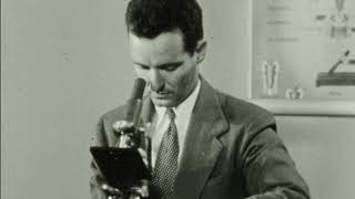 Microscope And Its Use