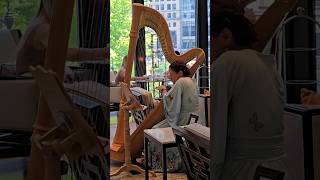  radiohead creep radioheadcreep cover harp  lounge teatime chicagotravel chicago