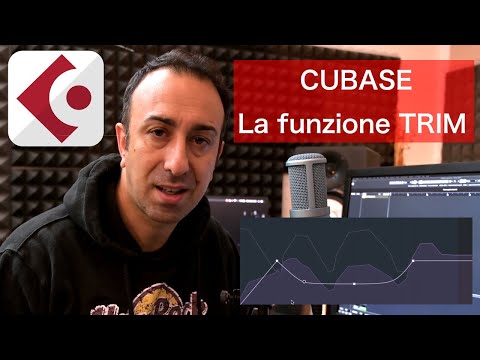 Video: Che cos'è l'automazione del volume?