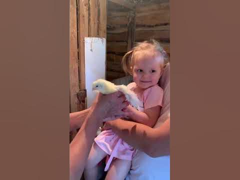 Крылышками... - YouTube