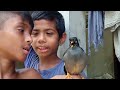 শালিক পাখি কথা বলে কিভাবে কথা শিখাবেন kotha bola salik pakhi.Talking bird