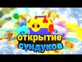 Открытие сундуков в бравл старс