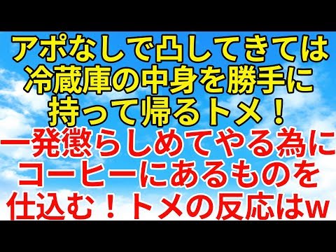 スカッとする話【復讐・因果応報】勝手に凸してきて冷蔵庫の中身を勝手に持ち帰るトメ。ある日コーヒーにある物を仕込む！それを持って帰るトメだが反応は？w【スカッとオーバーフロー】
