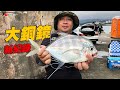 【岸拋】風大浪大魚也大！釣上難得一見的大銅鏡《花蓮東堤》石鯛組也拉爽爽 2023/12/03