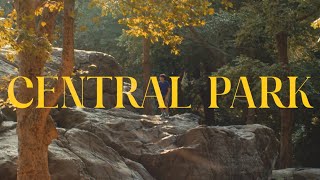 Central Park (BMPCC 4K)
