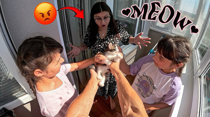 Мы прячем милого котенка от сумасшедшей мамы. Как бы вы справились с этим? (POV) @DumitruComanac