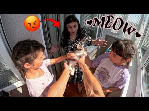I ESCAPE THE ANGRY MOM 3 Funny ParkourPOV Chase DumitruComanac Funny Viral Angry Mom Cat 