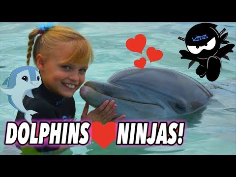 we-played-and-swam-with-dolphins-(bahamas)-ii-ninja-kidz-tv