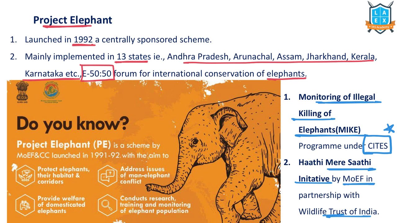 case study on project elephant