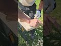 Dlhé roky som sledoval majstrov tesárstva, ktorí s dlátkom čarujú z dreva. Dnes som si konečne...