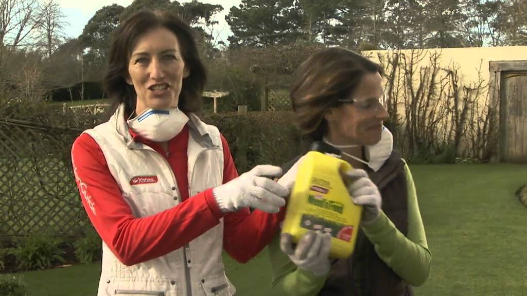 Yates Weed'n'Feed WEB