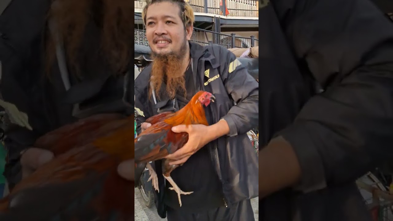 calumpit bulacan #nativemanok