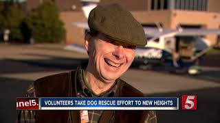 On verge of being euthanized, rescue dogs board plane for a new life