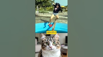 cat reaction video #video #entertainment #allcountry #reaction #entertainment