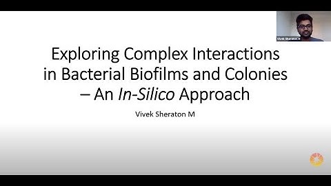 Exploring Complex Interactions in Bacterial Biofilms and Colonies – An In Silico Approach