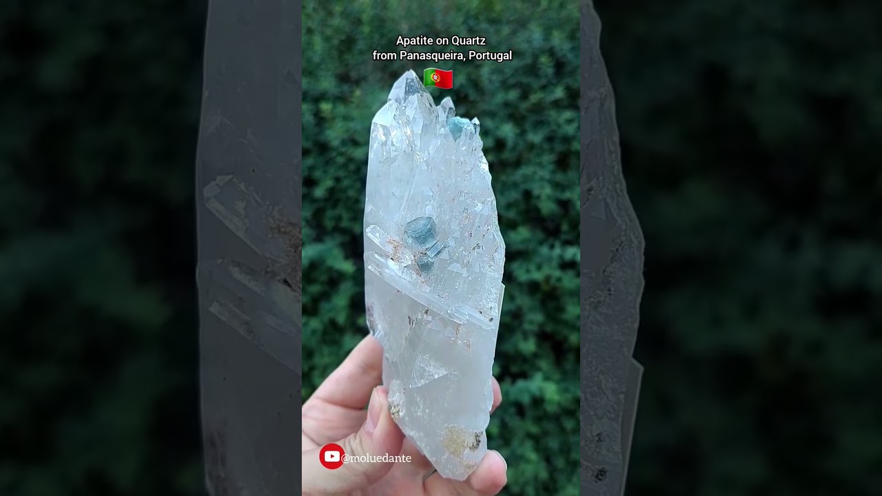 😲😲Apatite on Quartz from Panasqueira, Portugal 