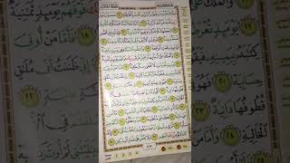 Qs al haqqah ayat 16-17