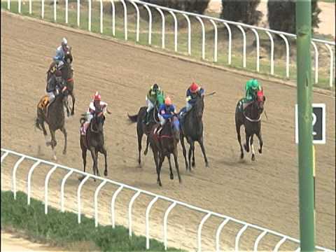 Vidéo de la course PMU PREMIO CHANTILLY