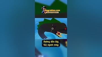 Blox Fruits Hướng dẫn Lấy tộc Người Máy tộc Cyborg đơn giản | Bé Đào Chơi Game