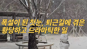 폭설로 변한 첫눈, 퇴근 길에 겪은 황당하고 드라마틱한 일  #폭설 #첫눈 #퇴근길 #드라마틱