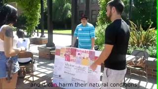 Communities of Practice Documentary - Group 1 Section 5