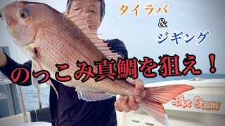 のっこみ真鯛（マダイ）をタイラバ＆ジギングで狙う！【スピネギ｜スロージギング｜日本海｜島根｜鳥取｜桜鯛｜タイカブラ】