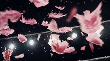 Kat Frankie - Bad Behaviour (official video)