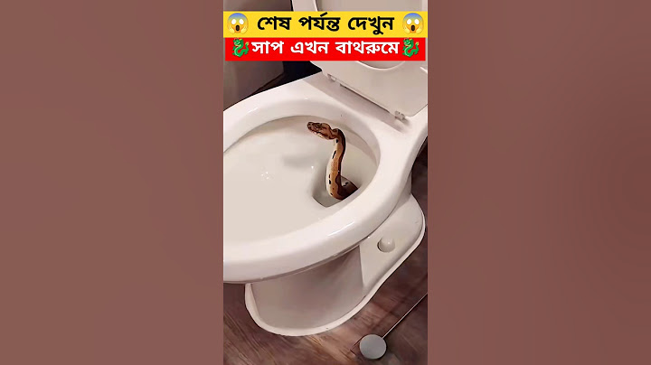 রাসেল ভাইপার এখন বাথরুমে 😱 The Snake entered the bathroom 🤣 #shorts #ytshorts #amazing