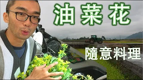 [不專業料理工作室] 培根奶油油菜｜人造奶油與反式脂肪｜油菜花田之於鄉村農田｜CC字幕 - 天天要聞