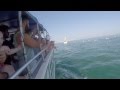 Sea Thunder Dolphin Cruise  North Myrtle Beach, SC - YouTube