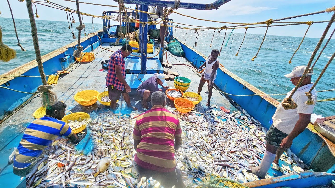Wonderful ! A biggest trawel net boat fishing on the sea/fisherman caught uncountable variety fishes