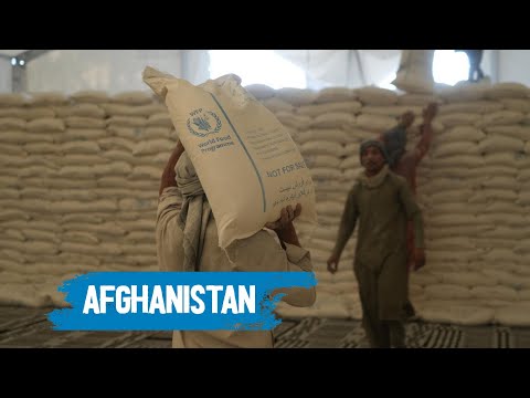 Urgent Crisis Alert: Afghanistan Faces Catastrophic Food Shortage | WFP News - video from WFP
