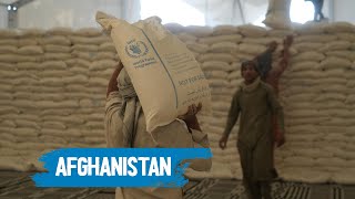 Urgent Crisis Alert: Afghanistan Faces Catastrophic Food Shortage | WFP News
