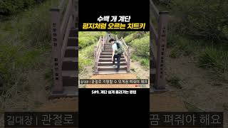 수백 개 계단 평지처럼 오르는 치트키