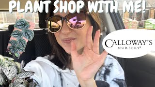 Plant Shop with ME, Calloway's Nursery Fort Worth TEXAS PLUS Plant Haul!