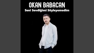Seni Sevdiğimi Söyleyemedim