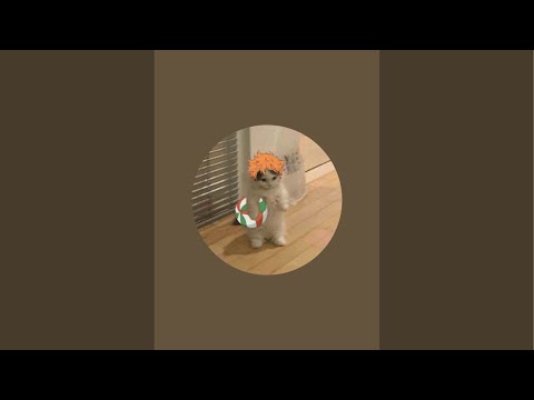 Yazod B está en vivo